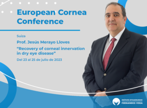 european cornea conference
